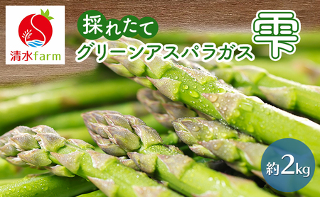 �y2026�N4�������z�x�ǖ�Y �̂ꂽ�Ē���! �O���[���A�X�p�� �u���v M�`2L �T�C�Y���� �y��2kg�z (����farm) �A�X�p�� �A�X�p���K�X ��� �V�N �G�ߌ��� �k�C�� �x�ǖ� �ӂ��