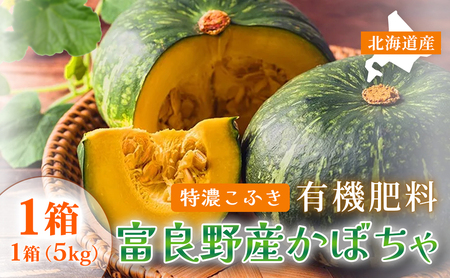 [秋の味覚 北海道産 カボチャ]特濃こふき 無選別 5kg×1箱|北海道富良野市 9〜10月発送 野菜 しっとり ホクホク 濃厚 甘い 濃橙果肉 黒皮カボチャ かぼちゃ こふきかぼちゃ 南瓜 料理用 煮物 贈答用 秋季限定