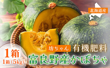 [秋の味覚 北海道産 小玉カボチャ]坊ちゃんカボチャ 無選別 5kg×1箱|北海道富良野市 9〜10月発送 野菜 料理用 家庭用 シェア用 ホクホク 濃厚 甘い 黒皮カボチャ かぼちゃ 坊ちゃんかぼちゃ 南瓜 料理 秋季限定