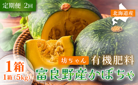 [定期便2ヵ月]秋の味覚 北海道産 小玉カボチャ 坊ちゃんカボチャ 無選別 5kg×1箱 全2回|北海道富良野市 9〜10月発送 野菜 料理用 家庭用 シェア用 ホクホク 濃厚 甘い 黒皮カボチャ かぼちゃ 坊ちゃんかぼちゃ