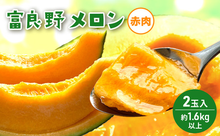 [2026年発送] 富良野メロン 赤肉 2玉入(約1.6kg以上) メロン ふらのメロン フルーツ 果物 くだもの 美味しい 甘い ギフト プレゼント 北海道 富良野市