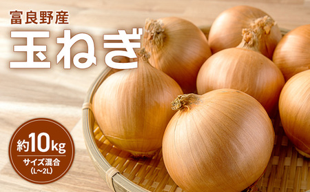 富良野産 玉ねぎ 約10kg入り サイズ混合(L〜2L)たまねぎ ご家庭用 野菜 甘い 新鮮 北海道 富良野市