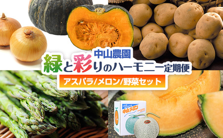 [2026年春発送]中山農園から贈る 緑と彩りのハーモニー定期便(アスパラ/メロン/野菜セット) アスパラガス アスパラ メロン フルーツ いも じゃがいも 玉ねぎ たまねぎ かぼちゃ 南瓜 新鮮 野菜 産地直送 果物 甘い 贈り物 ギフト 道産 数量限定 北海道 富良野市