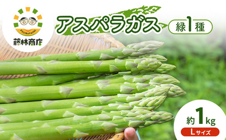 [2026年春発送]数量限定 グリーンアスパラガス Lサイズ 約1kg 野菜 アスパラ アスパラガス 新鮮 北海道 富良野