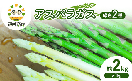 [2026年春発送]数量限定 グリーンアスパラ ホワイトアスパラ 計約2kg 野菜 アスパラ アスパラガス 新鮮 北海道 富良野