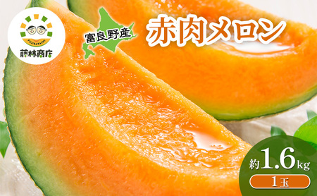 [2026年夏発送]メロン 北海道 富良野メロン 赤肉1玉 約1.6kgサイズ以上 北海道 ふらの めろん 果物 フルーツ 甘い ジューシー