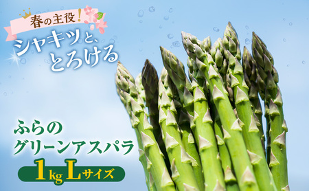 [2026年春発送]富良野産 グリーンアスパラ Lサイズ 約1kg アスパラ 野菜 アスパラガス