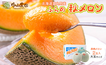 テレビで紹介されました![2026年秋発送]北海道 富良野産 赤肉 秋メロン 2玉 計3.2kg以上 大玉サイズ メロン