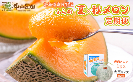 [2026年7〜9月 全2回]計2回 ふらの 夏× 秋メロン 定期便 ≪計2玉≫ 北海道 富良野市 (中山農園) メロン フルーツ 果物