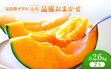 [2026年発送]富良野メロン (赤肉) 品種おまかせ 約1.3kg〜/2玉 [ メロン フルーツ 果物 北海道 富良野 ]