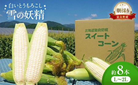 朝採り 白いとうもろこし 「雪の妖精」 北海道富良野産 L〜2L 約8本 [ とうもろこし とうきび コーン ホワイトコーン 野菜 北海道 富良野 ]