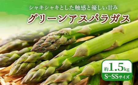 2026年春発送!ふらの グリーンアスパラ 約1.5kg [ 数量限定 先着順 アスパラ アスパラガス 野菜 新鮮 直送 北海道 富良野 ]