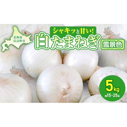 [2026年夏発送]富良野産 白玉ねぎ 雪景色 約5kg (約15〜25玉)新玉ねぎ 野菜 甘い 新鮮 直送 玉ねぎ 玉葱 サラダ 北海道 富良野 幕田農園