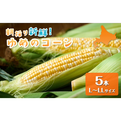 [2026年夏出荷]富良野産 とうもろこし ゆめのコーン 5本 L〜LLサイズ 野菜 新鮮 直送 コーン とうきび 道産 北海道 幕田農園