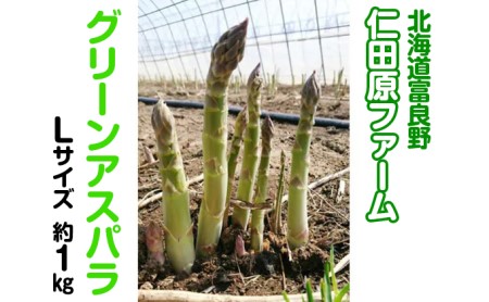 [2025年4月〜発送]朝採り 富良野市 グリーン アスパラ Lサイズ 約1kg (仁田原ファーム) 野菜 新鮮 直送 朝採り アスパラガス 道産 北海道 ふらの