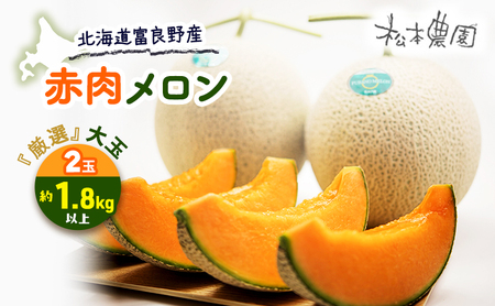 【先行受付】北海道富良野メロン『厳選』大玉サイズ 約2kg×2玉〈2023年7月上旬より発送〉