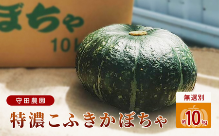 [2024年9月中旬〜発送]北海道 ふらの 特濃こふき かぼちゃ 無選別 約10kg (守田農園) 野菜 新鮮 直送 いも 道産 ふらの 送料無料 数量限定 先着順 北海道 富良野市 ほくほく 秋