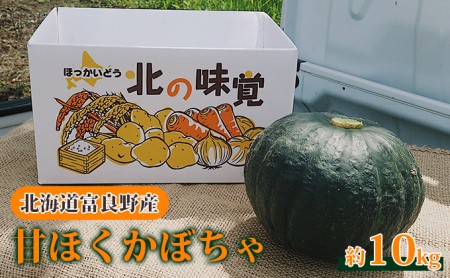 [2024年秋〜発送]北海道 富良野産 甘ほくカボチャ 10kg かぼちゃ (山本農園) 野菜 新鮮 直送 いも 道産 ふらの 送料無料 数量限定 先着順 北海道 富良野市 ほくほく 秋