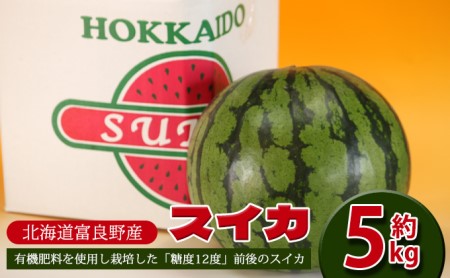 [2025年7月〜発送]すいか 約5kg 北海道 富良野市 (スイートベジタブルファクトリー) フルーツ 果物 新鮮 甘い 贈り物 ギフト 道産 おやつ デザート ふらの ブランド 夏