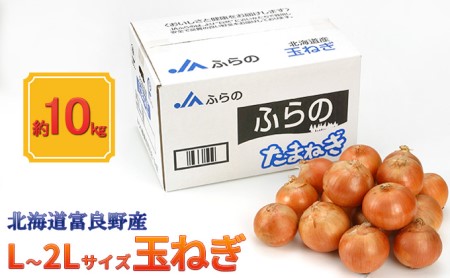 [北海道富良野産]L〜2L サイズ 玉ねぎ 約10kg (JAふらの) たまねぎ 玉葱 タマネギ 野菜 新鮮 直送 道産 ふらの 送料無料 数量限定 先着順