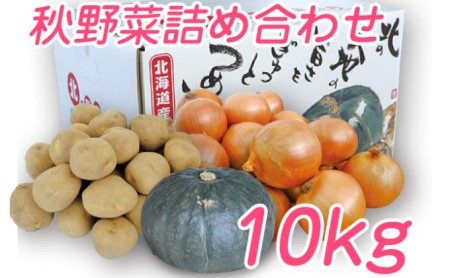 [2024年9月下旬より発送]北海道 富良野産 野菜 10kgセット じゃがいも & 玉ねぎ & かぼちゃ 3種 詰め合わせ (中山農園) 野菜 新鮮 直送 いも 道産 ふらの 送料無料 数量限定 先着順 北海道 富良野市 ほくほく 秋