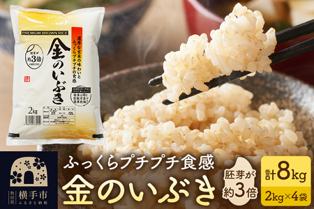 【玄米】米 金のいぶき 8kg(2kg×4袋) 令和6年産