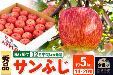【先行受付】12月中旬より発送 サンふじ【秀品】約5kg（14～20玉）りんご 林檎