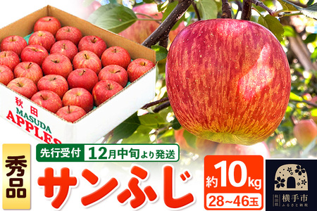 【先行受付】12月中旬より発送 サンふじ 【秀品】約10kg （28～46玉）りんご 林檎