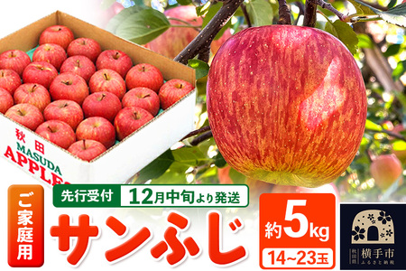 [先行受付]12月中旬より発送 サンふじ [ご家庭用]約5kg(14〜23玉)りんご 林檎