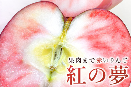 紅の夢アップルパイ クレームパティシエール 450g(4〜5人前)