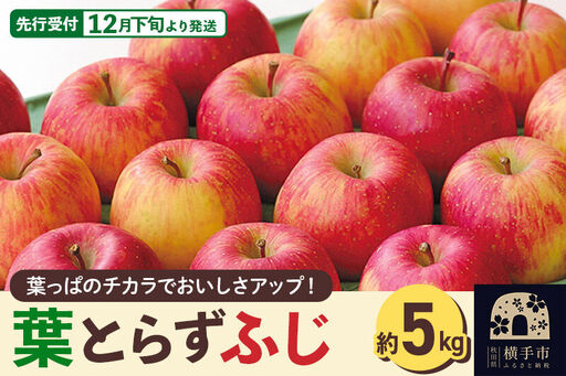 ＜先行受付 12月下旬より発送＞横手産 葉とらずふじ 約5kg