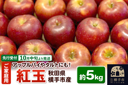 [先行受付]10月中旬より発送 アップルパイやタルトにも!横手市産りんご(紅玉) ご家庭用 約5kg