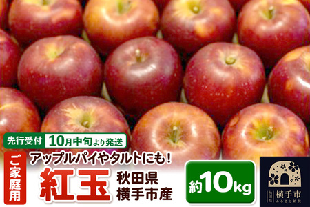ystz10{蔭 AbvpC^gɂIsY(g) ƒp 10kg