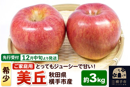 [先行受付]12月中旬より発送 希少品種!追熟でおいしさ倍増!横手市産りんご(美丘) ご家庭用 約3kg