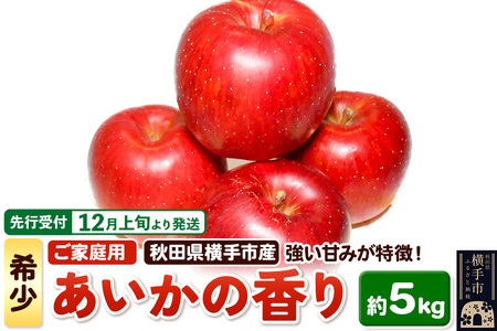 ystz12{蔭 󏭕iIHcY  ̍ ƒp  5kg