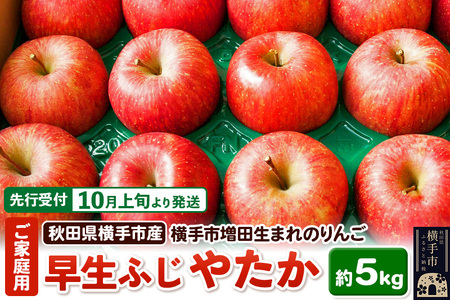 ystz10{蔭 scY ӂE₽ ƒp 5kg