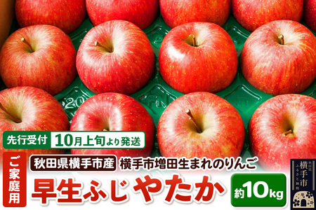 ystz10{蔭 scY ӂE₽ ƒp 10kg