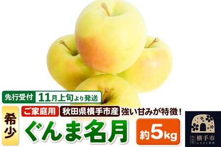 ystz11{蔭 󏭕iIHcY  ܖ ƒp 5kg