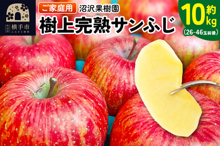 樹上完熟サンふじ ご家庭用 約10kg（26～46玉前後）