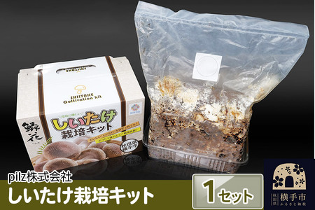 ご自宅でブランド椎茸を栽培!しいたけ栽培キット