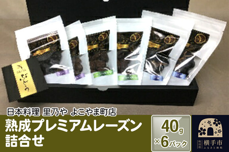 nv~A[Yl 40g×6pbNie2j