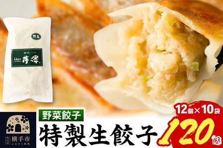 野菜餃子（豚肉）12個入×10袋