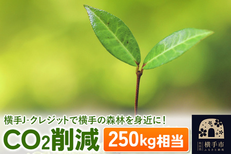 横手J‐クレジットで横手の森林を身近に! CO2削減 250kg相当