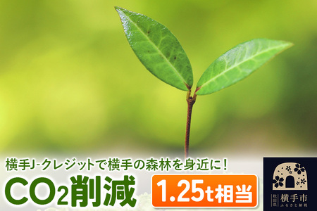 横手J‐クレジットで横手の森林を身近に! CO2削減 1.25t相当