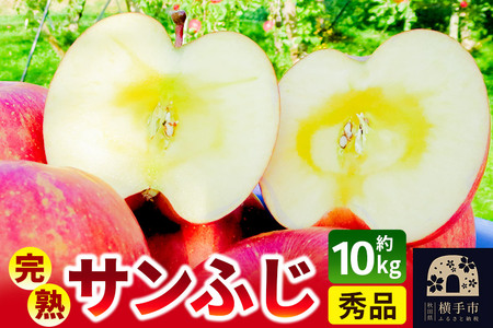 nTӂGi 10kgi32`40j