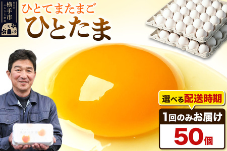 y퉷zЂƂ 50iƖpjyIׂzCї{{ ЂƂ  ʎq ܂ ^}S  zIׂ