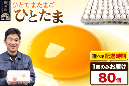 y퉷zЂƂ 80iƖpjyIׂzCї{{ ЂƂ  ʎq ܂ ^}S  zIׂ