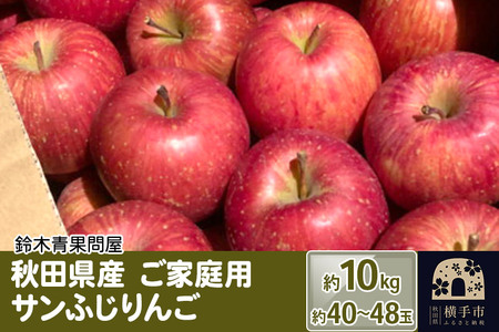 【訳あり】秋田県産 ご家庭用 サンふじりんご 約10kg(40玉～48玉前後)【簡易梱包での発送】