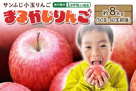 【先行受付】1月中旬より発送 【ご家庭用】サンふじ小玉りんご「まるかじりんご」約8kg（50玉～60玉前後）