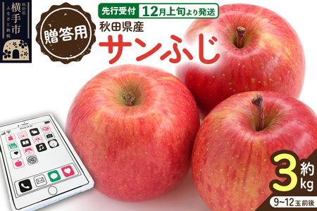 ystz12{蔭ypzHcY Tӂ 3kg(9ʁ`12ʑO)